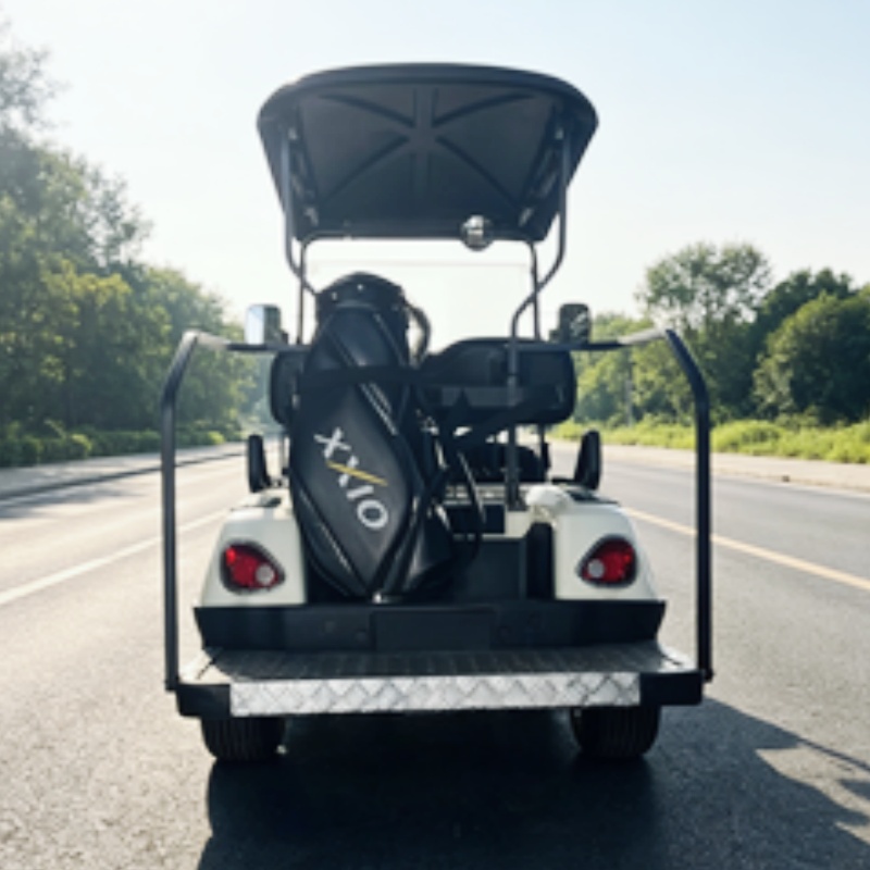 Nouveau modèle 2026, Buggy de  - Golf Bag Stand Cart avis et prix