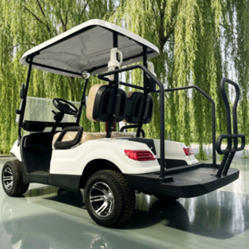 Voiturette de golf électrique  - Golf Bag Stand Cart avis et prix